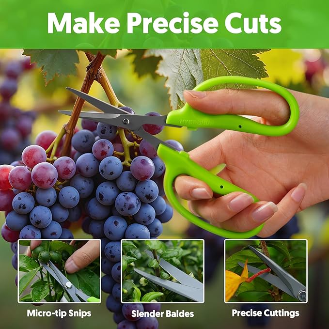 Garden Scissors Small Pruning Shears Gardening Snips Non-Stick Coating Sharp Steel Blade for Precise Cutters Bonsai Trimmer for Plants Flower Herb
