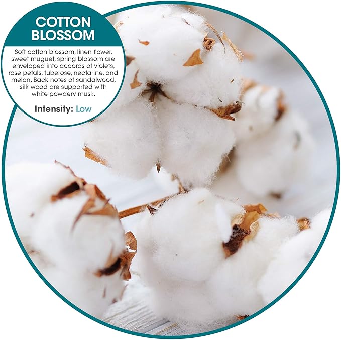 Fresh Products FRS EBC72 CBLBX Eco-Fresh Bowl Clip, Cotton Blossom, Blue (Pack of 12)