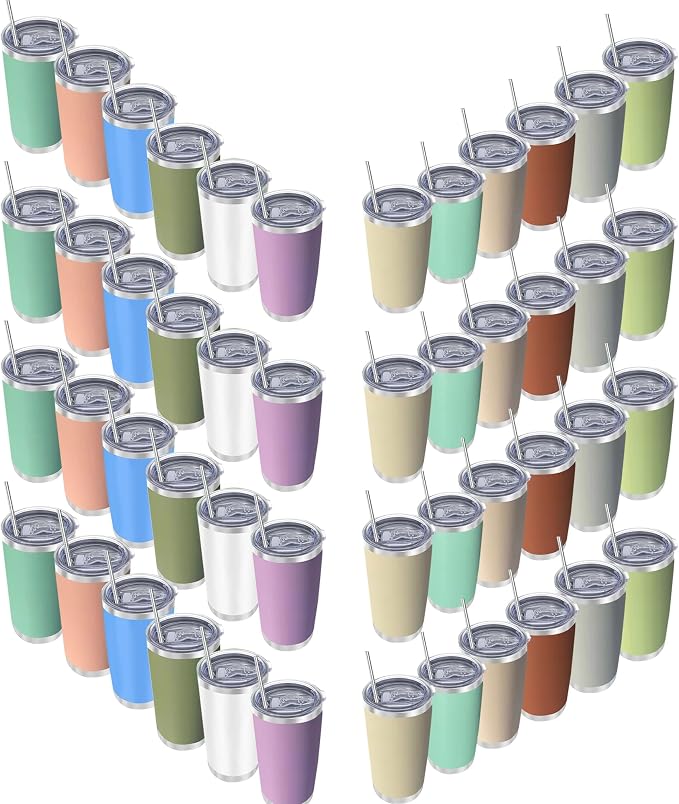 20oz insulted tumblers stainless steel cup Tumbler Bulk with push Lid, and metal straw powder coated coffee cup for cold and hot drinking (48, Modern MIX color)