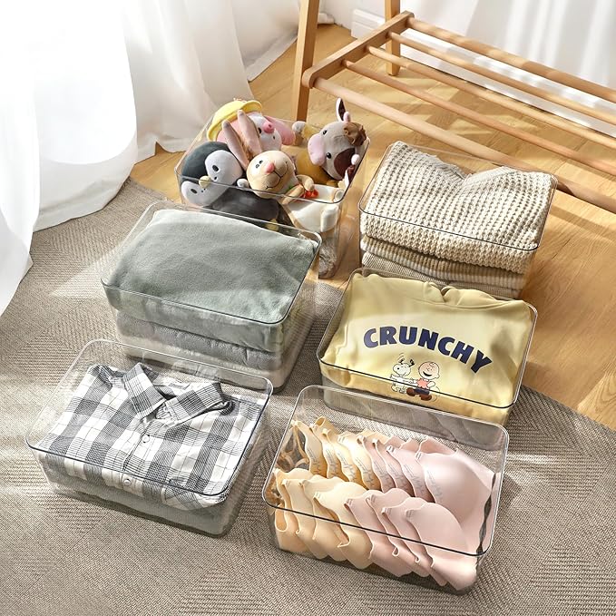 4 Large Lidded Plastic container, Clear Stackable Storage Boxes for Cabinets, Organization and Storage for Shelves Office Bathroom