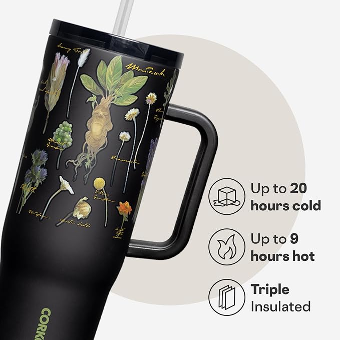 Corkcicle Cruiser Insulated Tumbler with Handle & Straw - Keeps Beverages Cold 20 Hours - Triple Insulated - Summer Drinkware Gift - Keeps Drinks Ice Cold - 40 oz - Princess Cinderella