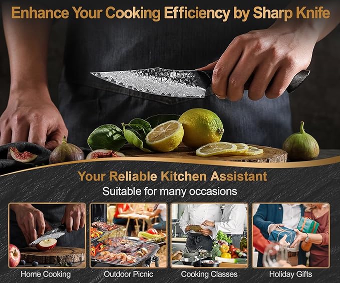 XINZUO 5.6 inch Paring Petty Knife,High Carbon 67 Layers Damascus Steel Fruit and Vegetable Small Kitchen Utility Knife,Burnt Wood Handle