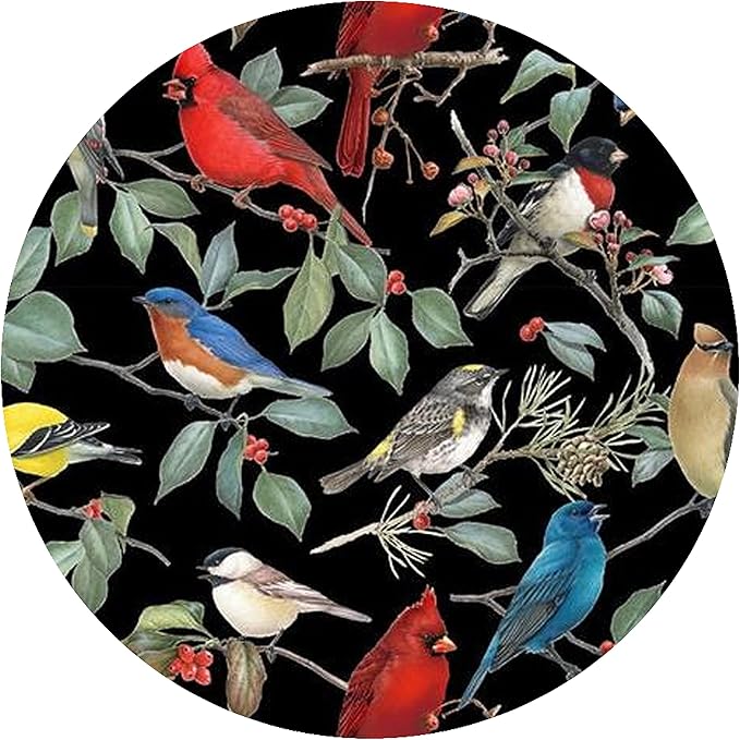 Andreas Silicone Birds 8" Non-Slip Trivet/Pot Holder/Hot Pad – 100% Cotton Fabric Encapsulated in Silicone, Heat Resistant to 600°F – Flexible, Dishwasher Safe – USA Made, TR-62