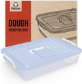 Chef Pomodoro Pizza Dough Proofing Box, 14 x 11-Inch, Preparation Container with Lid, Fits 4-6 Proofing Balls, Household Pizza and Bread Dough Tray With Convenient Carry Handle (Blue)