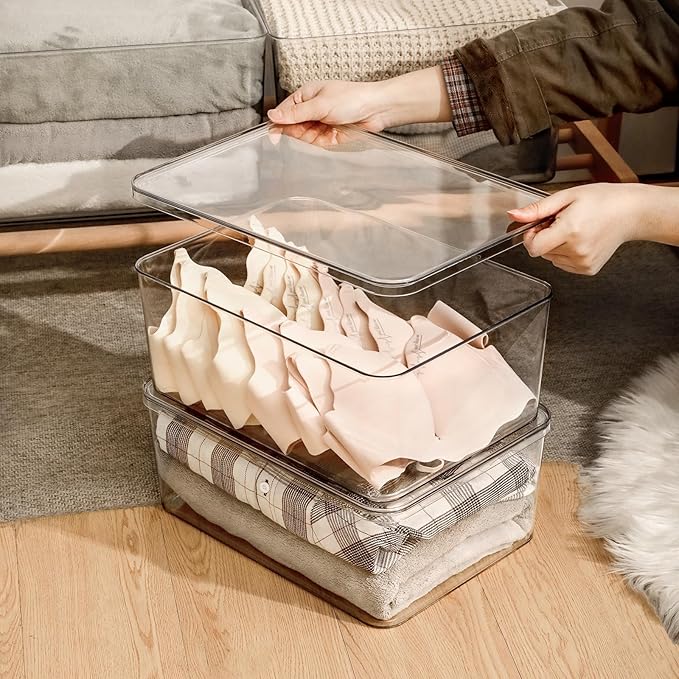 2 Large Lidded Plastic container, Clear Stackable Storage Boxes for Cabinets, Organization and Storage for Shelves Office Bathroom Kitchen (2Large)