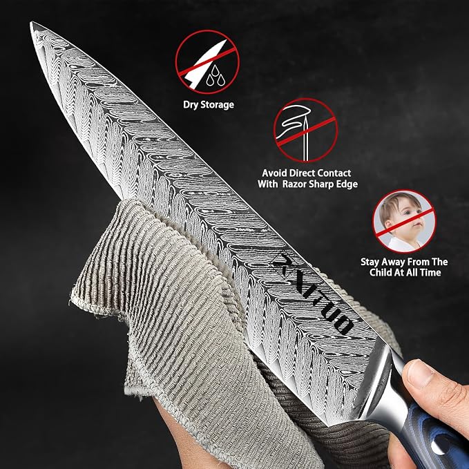XITUO Damascus VG10 Steel Knife Set, 4-Piece Japanese Kitchen Knives with Ergonomic G10 Handle - Includes Chef, Santoku, Utility & Boning Knife, Ultra-Sharp Professional Cooking Tools