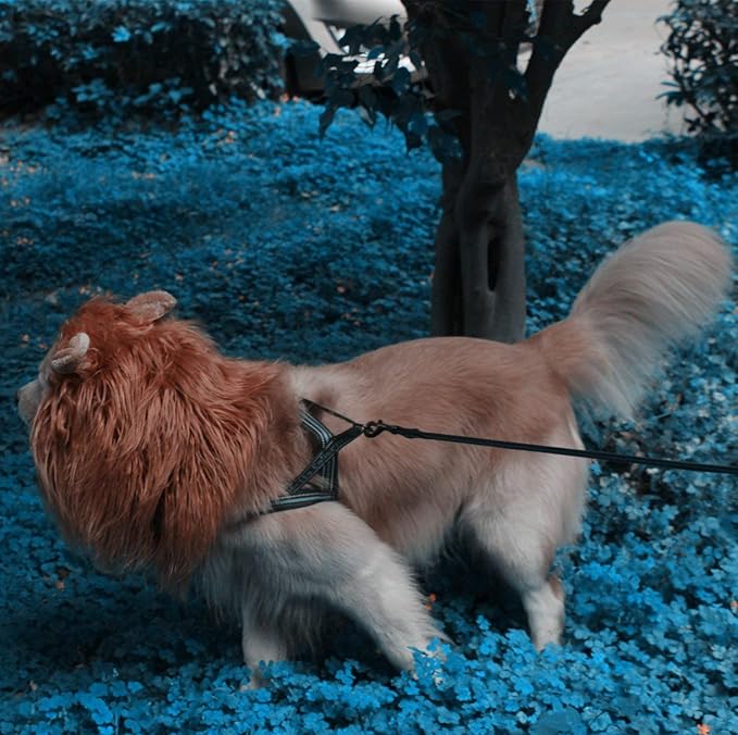 RWM Basting Brush & Dog Lion Mane Constume-Love BBQ, Love Dog