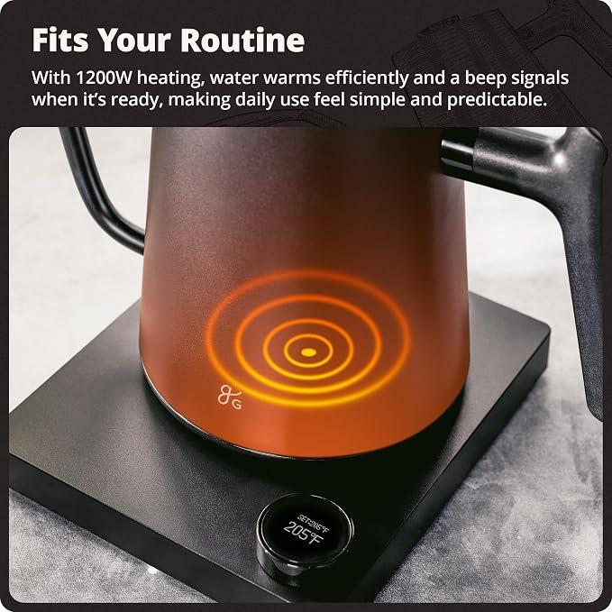 Greater Goods Electric Gooseneck Kettle, 1200W Stainless Steel with Precision Temperature Control, Fast Boil, BPA-Free, Ideal for Pour Over Coffee and Tea, 0.8L (Onyx Black)