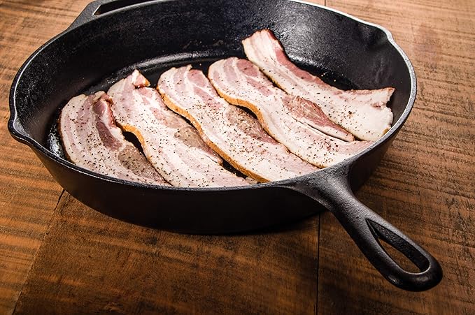 10.25-Inch Cast Iron Skillet Set (Pre-Seasoned), Including Large & Assist Silicone Hot Handle Holders, Glass Lid, Cast Iron Cleaner Chainmail Scrubber, Scraper | Indoor & Outdoor Use
