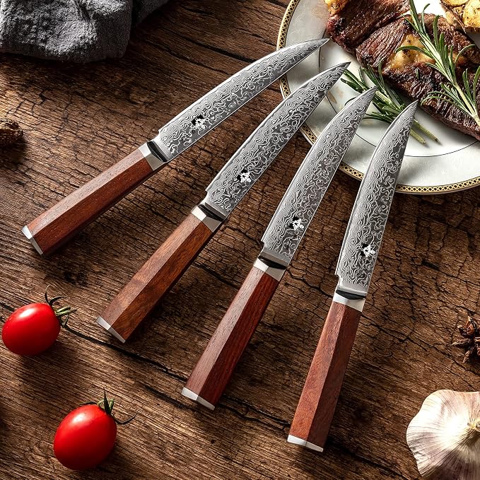 Steak Knives Set of 4 with In-Drawer Knife Block, 5 inch Damascus Steak Knife Set VG-10 Damascus Super Steel 67-Layer Non Serrated Steak Knives with Natural Wood Handle, Gift Box