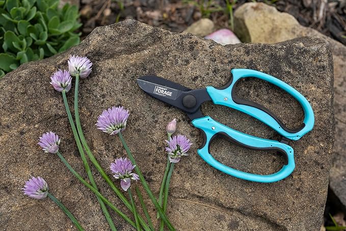 OASIS Forage Strain Reducing Ippon Floral Scissors | Precision Cut Stainless Steel Blades | Bright Blue Soft Grip Handle