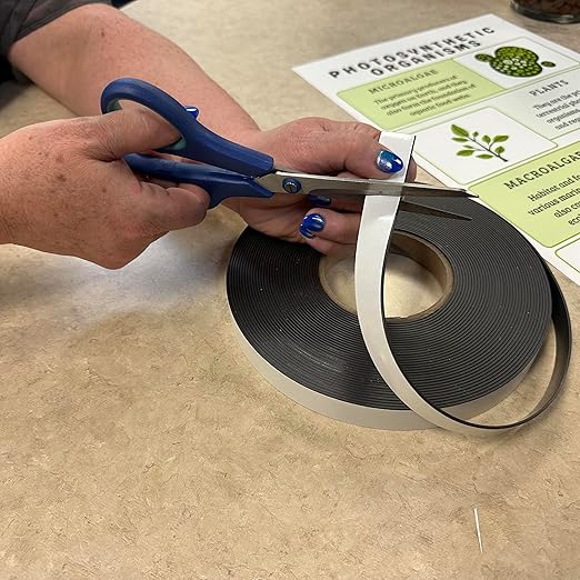 Master Magnetics ZG30A-Ax50BX Flexible Magnet Strip with Adhesive Back , 1/16" Thick, 3/4" Wide, 50 feet (1 Roll)