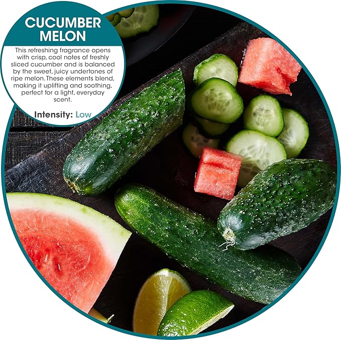 Fresh Products Eco Bowl Clip Air Freshener Versatile Design Toilet Freshener Trash Freshener Chemical Free Natural Oils Discreet Lasts 30 Days Made in the USA Cucumber Melon 12 pk