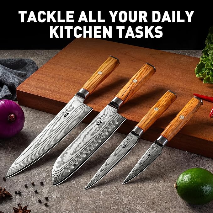 Damascus Knife Set with Block, Chef Knife Set Professional 67-Layer Damascus VG10 Steel, Olive Wood Handle with Gift Box