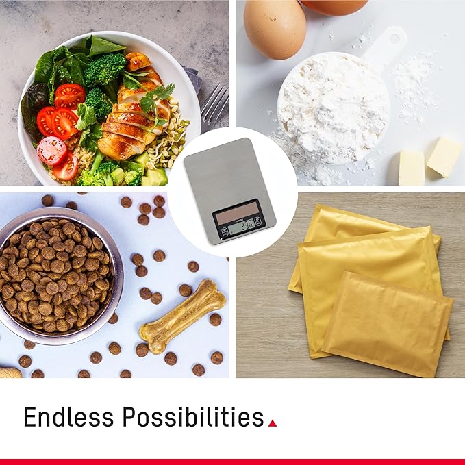 Taylor Light Powered Digital Kitchen Scale, Light Energy Scale with Stainless Steel Platform, Light Powered Panel with Endless Power, No Batteries Needed, Energy-Saving, High 11lb Capacity, Silver