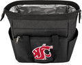 PICNIC TIME NCAA unisex-adult NCAA On The Go Lunch Cooler
