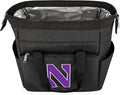 PICNIC TIME NCAA unisex-adult NCAA On The Go Lunch Cooler