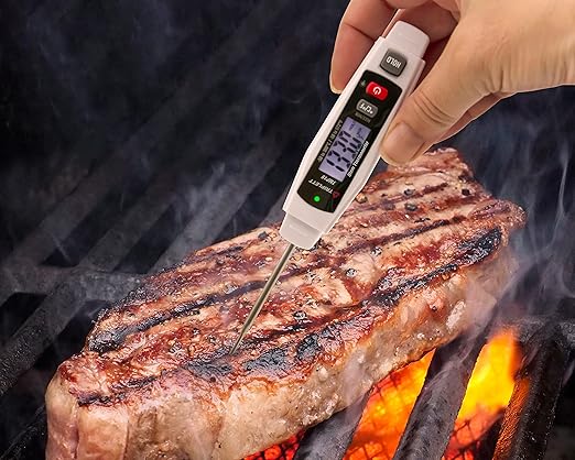 Triplett TMP15 Stem Thermometer with High/Low Alarm, -58 to 572°F (-50 to 300°C)