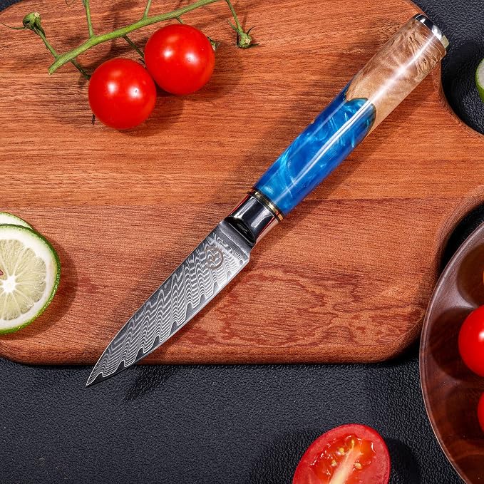 Chef Knife Set, Kitchen Knife Set of 3, Damascus VG10 Steel, Blue Handle Series