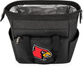 PICNIC TIME NCAA unisex-adult NCAA On The Go Lunch Cooler